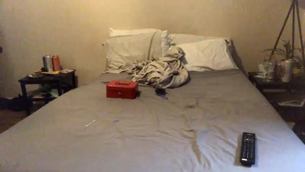 gingerguy3688 01-07-2025 video strip