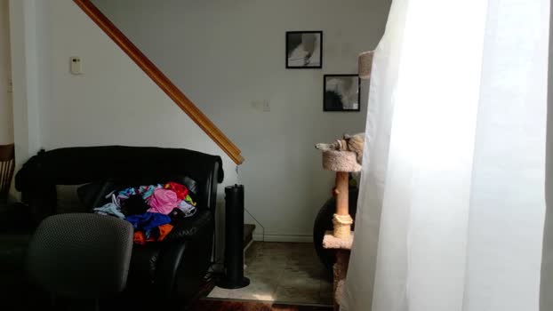 thekodyy 03-07-2025 video lick