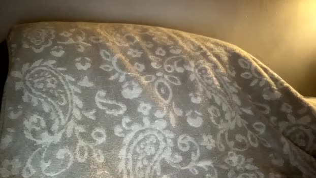 seroc12345 06-07-2025 video ass