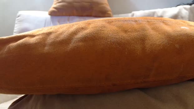 biengrossa 08-07-2025 video Recorded