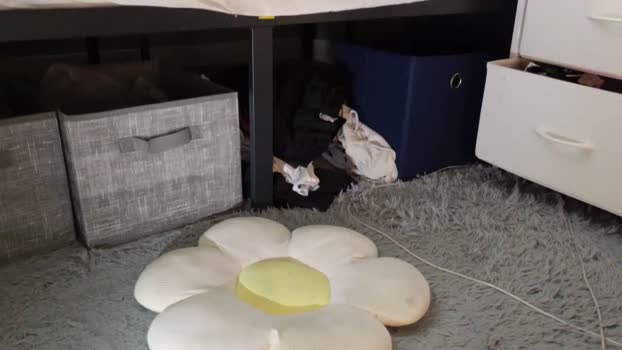 shawncollege 08-07-2025 video show