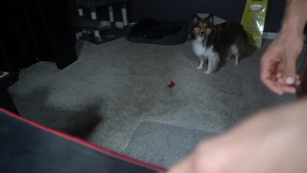 sydaffect 08-07-2025 video wank