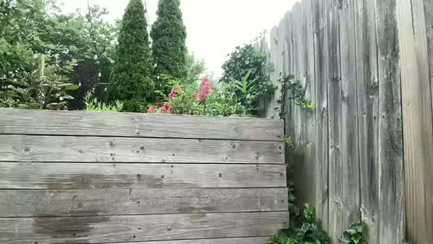 bipapiinches8 09-07-2025 video sexyfeet