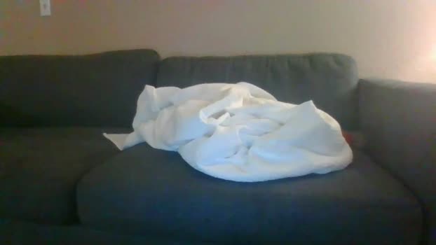 hothusband28931194 10-07-2025 video gag