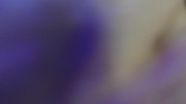 jacob_devon 11-07-2025 video Webcam