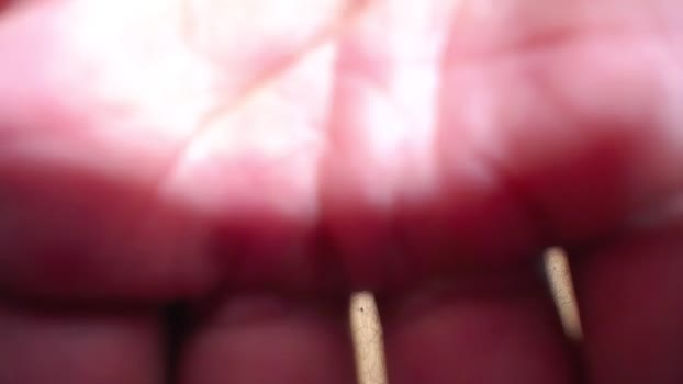 daiquirie 12-07-2025 video oral