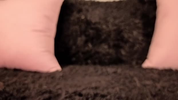 bumblubee 12-07-2025 video hard