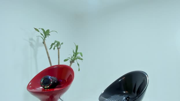 haziel_7 17-07-2025 video big