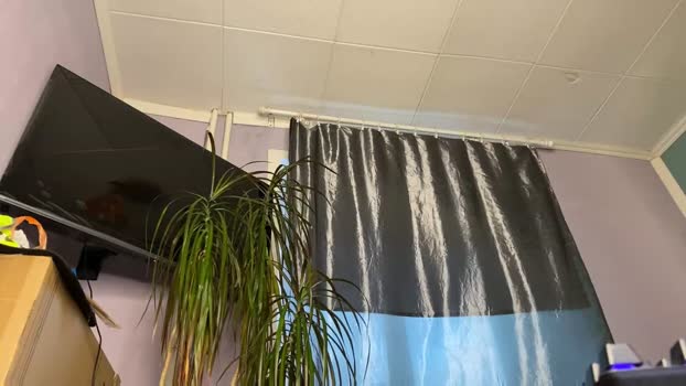 eitanhere 17-07-2025 video Cam