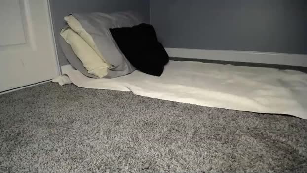 wannaplay1025 19-07-2025 video bicurious