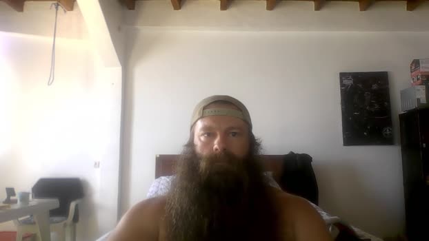beardeddonkey88<