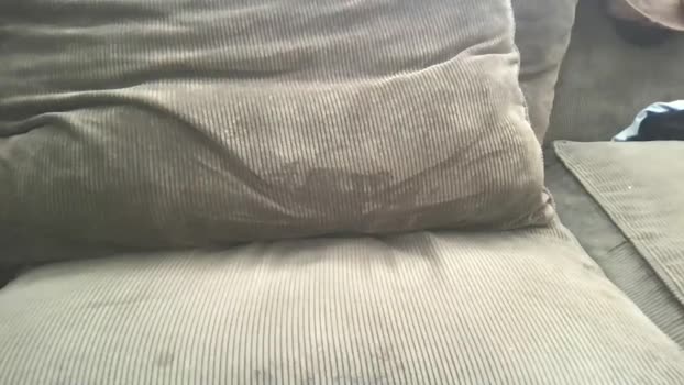 circumsizedbandit 21-07-2025 video hardcore