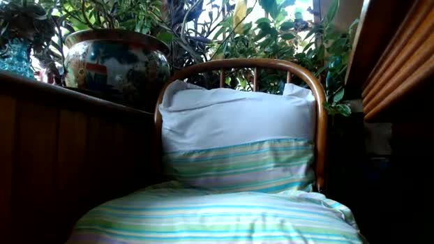 kaonashi69 24-07-2025 video bigass