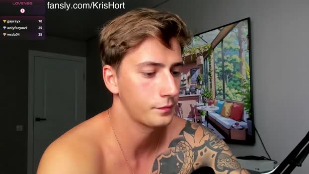 krishort 28-07-2025 video strip