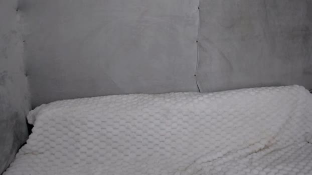 mr_makentoshi 28-07-2025 video sexykitty