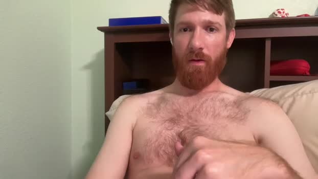 gingermania10<