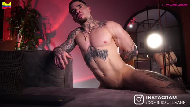 dominic_sullivan1 31-07-2025 video jerking