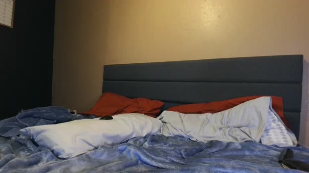 downforthemoney 01-08-2025 video spanking