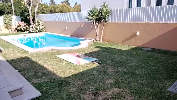 latino23bom 01-08-2025 video jerking