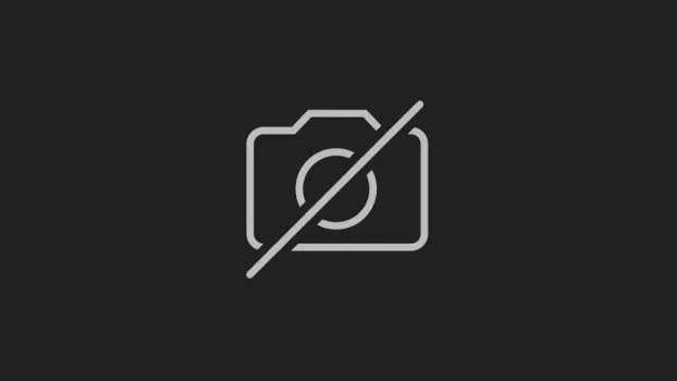 notoribliss 04-08-2025 video juicy