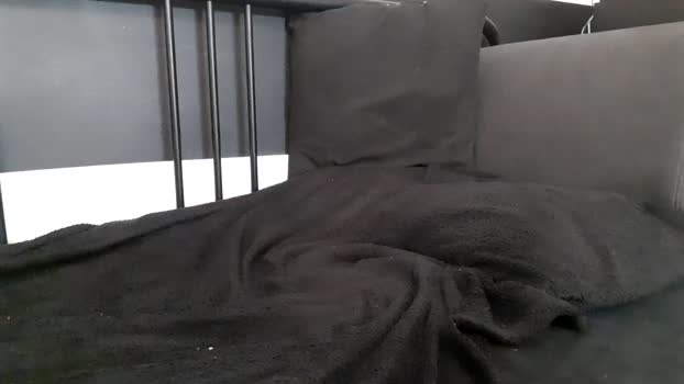 apollobest77 06-08-2025 video hard