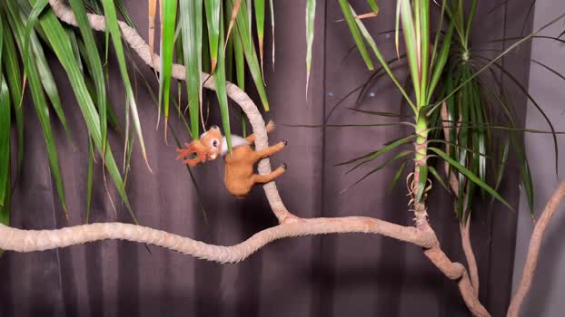 aronyou_win 06-08-2025 video sexyfeet