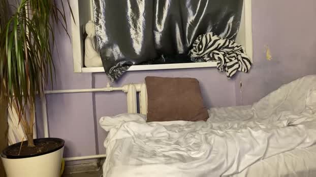 eitanhere 06-08-2025 video bicurious