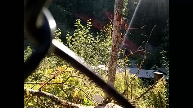 info_chat 10-08-2025 video lick