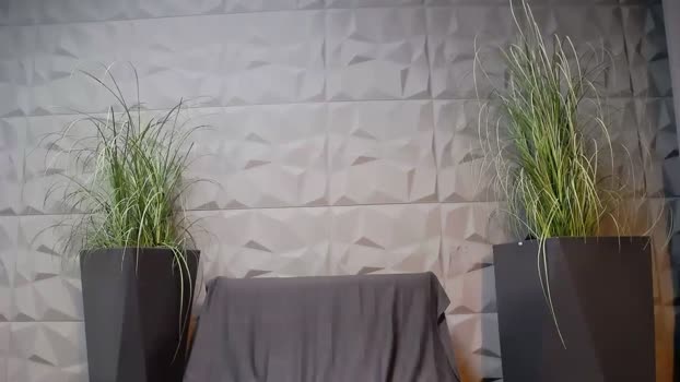 antoniovalentinidiamond 11-08-2025 video kiss