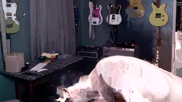 flanneldong 11-08-2025 video gay