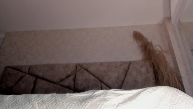 dickgriffith 16-08-2025 video blowjob