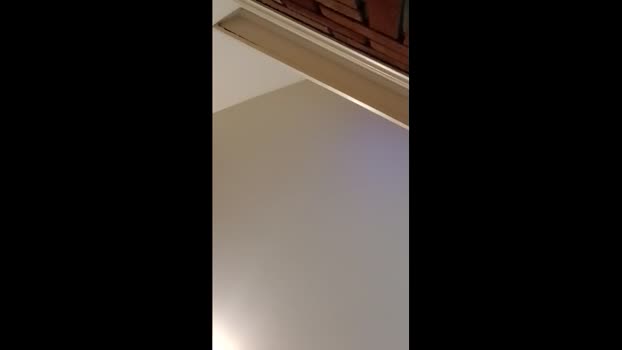 bogeygeneral1<