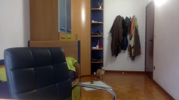 inakitorresoficial 28-08-2025 video natural