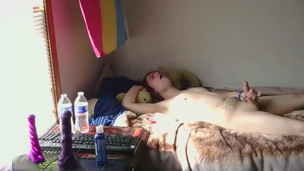 tyrannusarchwing 28-08-2025 video suckcock