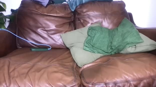 camdoattitude 31-08-2025 video love