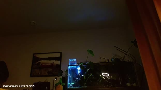 achilles_woods 04-09-2025 video Download