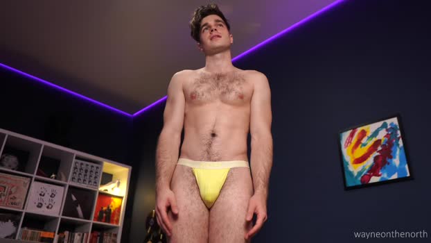 waynenorth 06-09-2025 video bigtoys