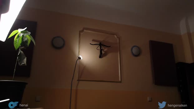 hengen_aiken 10-09-2025 video sex