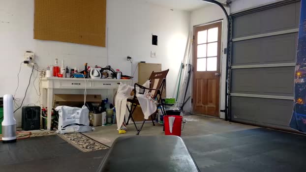 badnightwolf 11-09-2025 video playtime