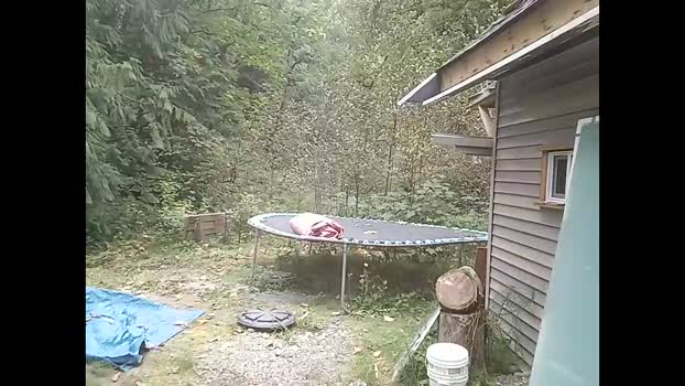 info_chat 12-09-2025 video bj-dildo