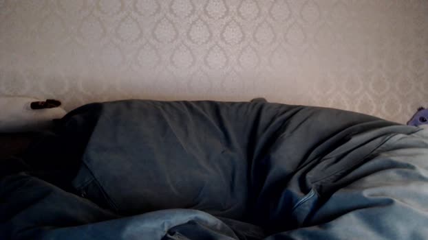 athleticloganx 14-09-2025 video jackoff