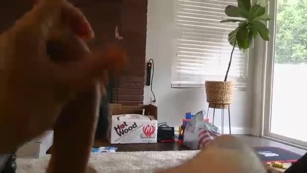 ryanbobby88 14-09-2025 video sexymale