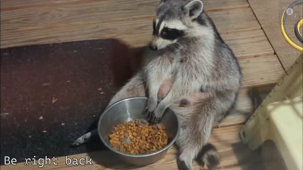 rndmzd 21-09-2025 video Ass