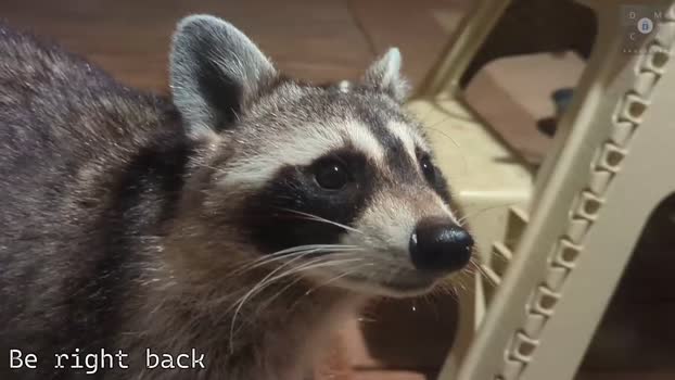 rndmzd 21-09-2025 video kink