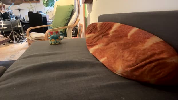 hiphoppopotamus 22-09-2025 video legs