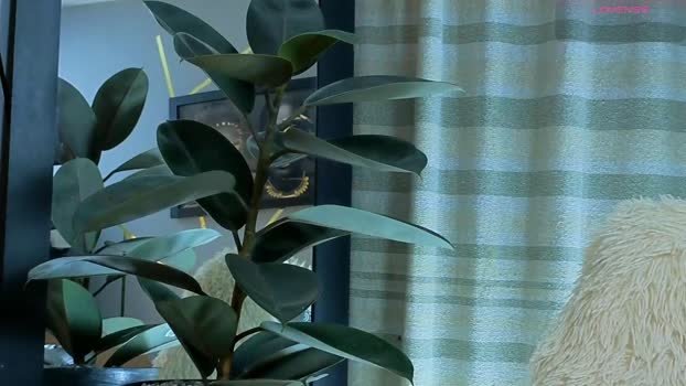 jason_dredd 25-09-2025 video bigballs