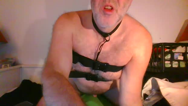 malebdsmslut 27-09-2025 video cute