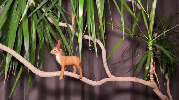 aronyou_win 01-10-2025 video Porn