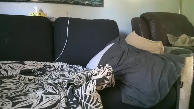 hairiestbear 01-10-2025 video jackoff