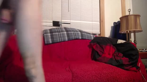 johstondude 04-10-2025 video nasty